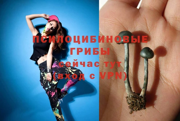 тгк Соль-Илецк