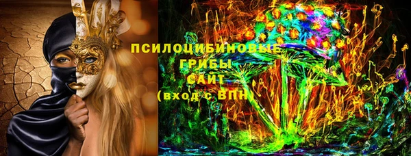 мдпв Медногорск
