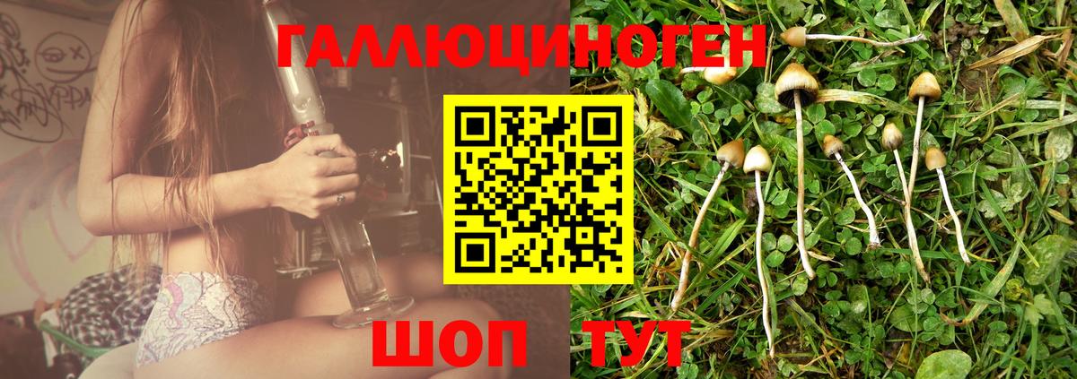 Марихуана  Топки  Меф МЯУ МЯУ   ГАШИШ  Cocaine  Мефедрон  A PVP СОЛЬ кристаллы  Вход с VPN  Лсд 25  ГАШ  МДМА  Марихуана 